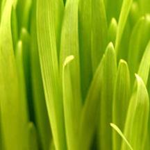 企业效率提升的网络攻击软件